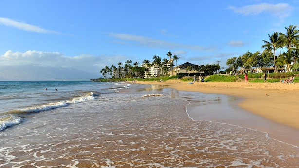 A beach with clear water, palm trees, and buildings in the background.