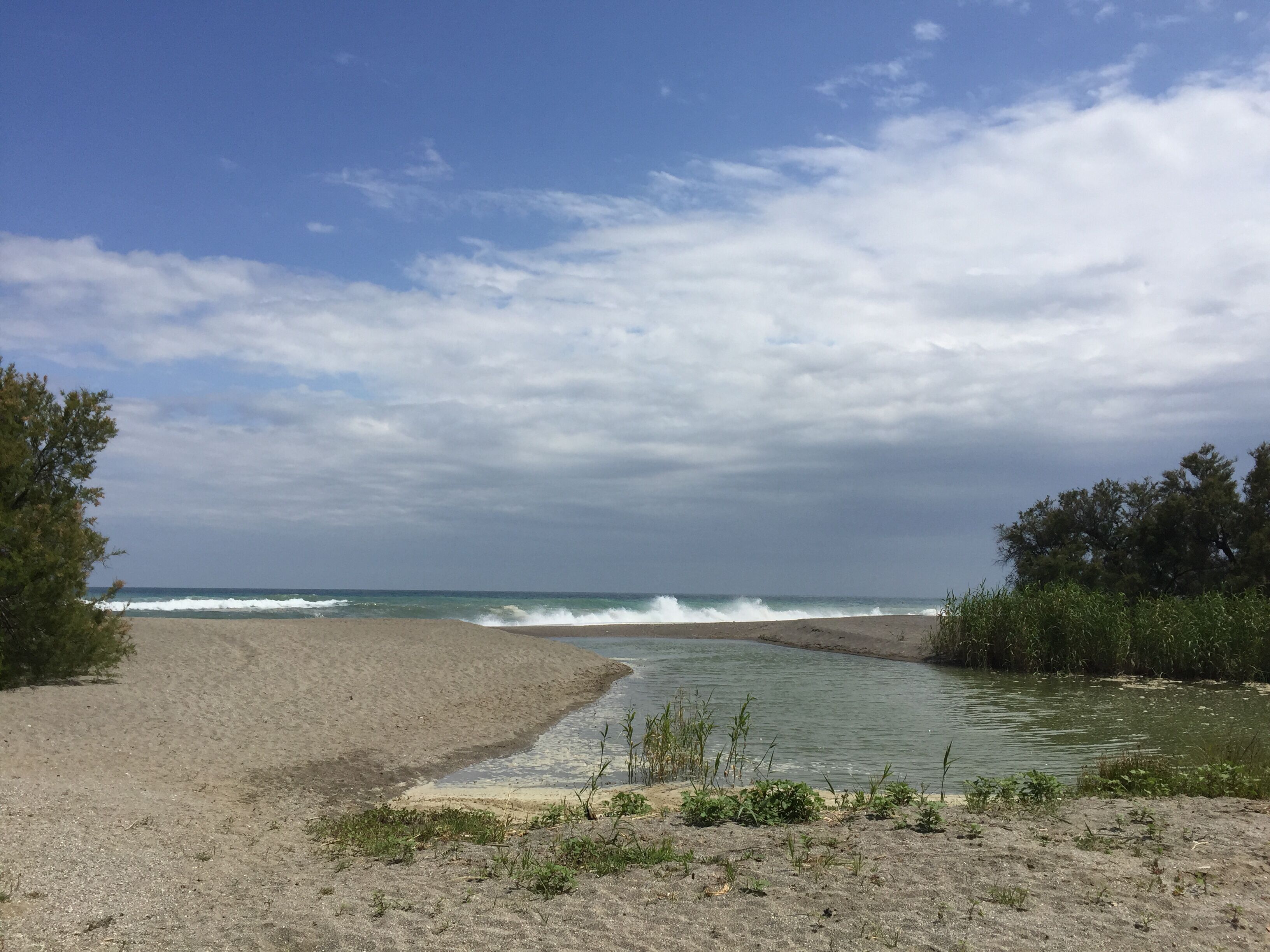 Ranta lähistöllä, aurinkotuoleja