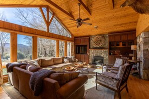 TV, fireplace, video games, DVD player