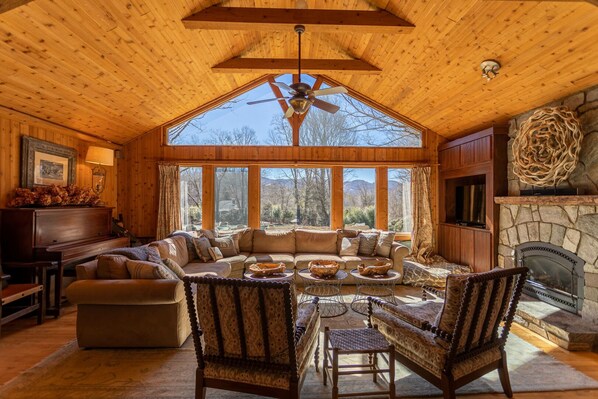 TV, fireplace, video games, DVD player