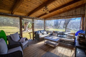 TV, fireplace, video games, DVD player