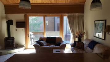 TV connectée, cheminée, lecteur de DVD, table de tennis de table