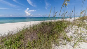 Une plage avec du sable, de l’herbe et l’océan.