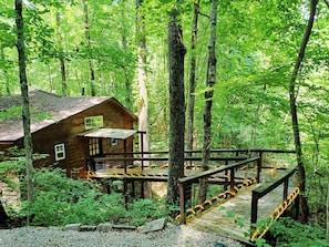 Property grounds - Eagle Treehouse: Hot Tub, Fireplace, and Outdoor Firepit! (Monteagle)