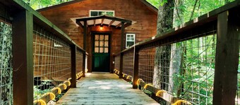 Eagle Treehouse Getaway with Hot Tub, Gas Fireplace, and Outdoor Firepit!
