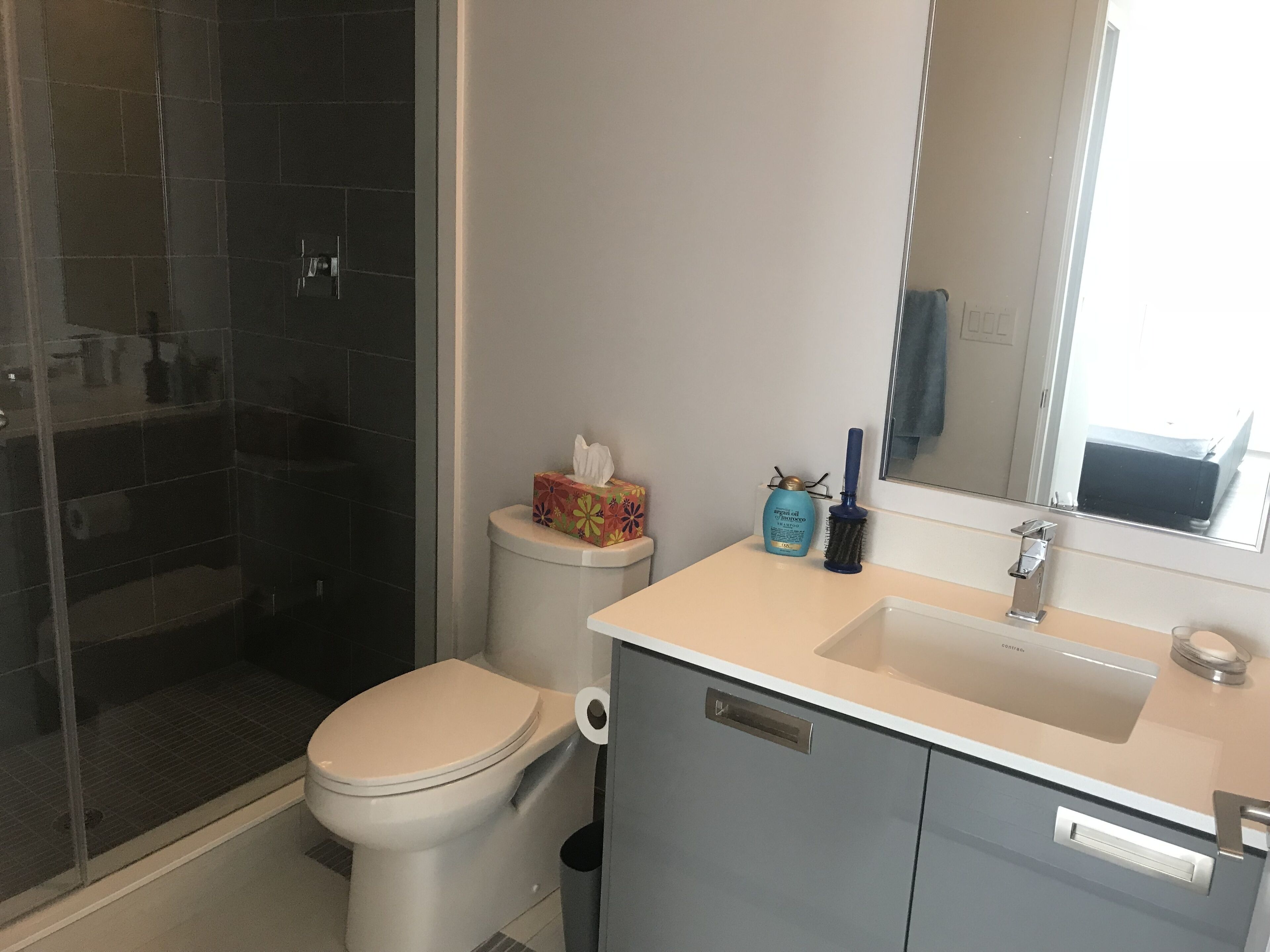 Bathroom equipped with soap & conditioning shampoo dispensers, towels, hairdryer