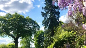 Un jardin avec des arbres, des plantes en fleurs et un ciel dégagé.