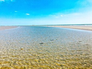 サンラウンジャー