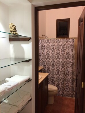 Shower, hair dryer, towels, soap