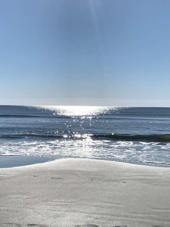 ビーチの近く、サンラウンジャー