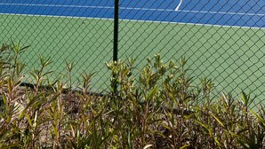 A tennis court with a chain-link fence, surrounded by a multi-story building with balconies. - Happy Place Gated ResortBldg.1,First floor, pool, deli/gift shop, bar (Hilton Head)