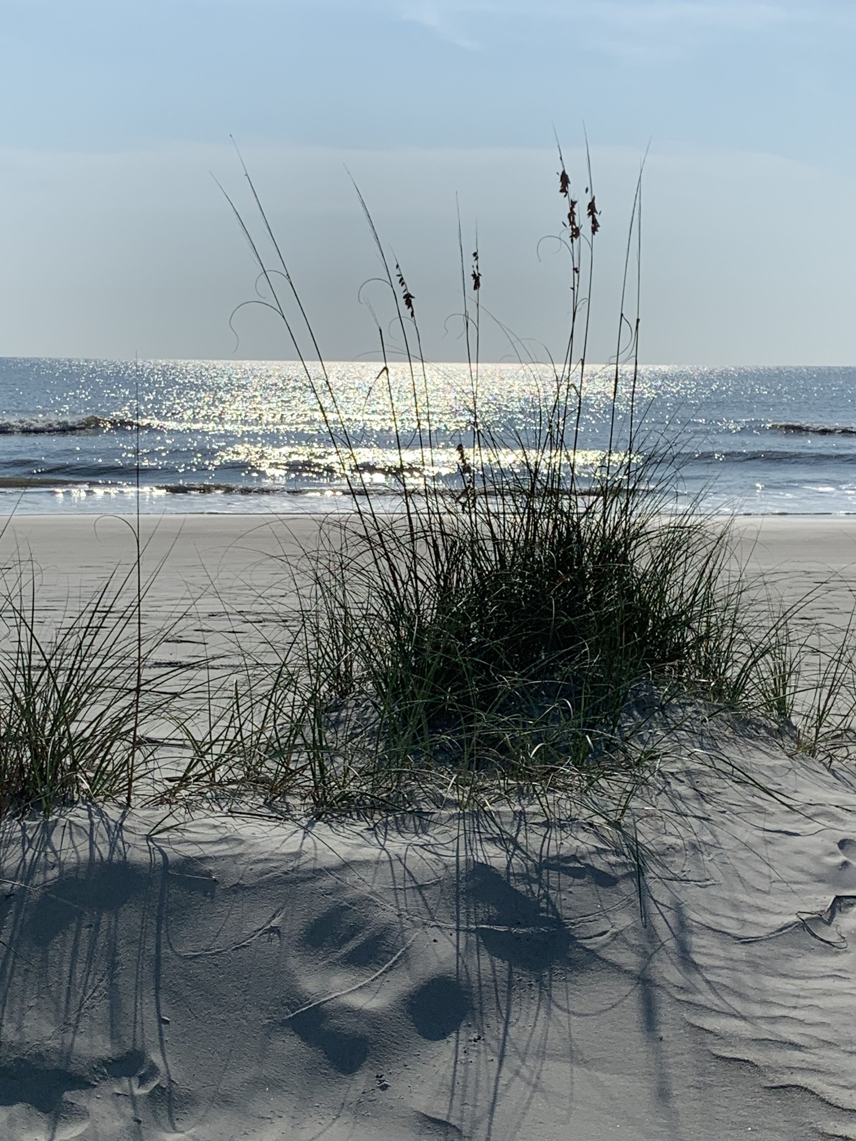 Ein sandiger Strand mit Gras im Vordergrund und dem Meer im Hintergrund.