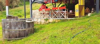 Eine andere Erfahrung in einem Flugzeug, das im kolumbianischen Wald verloren gegangen ist