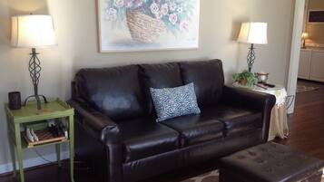 TV, fireplace, DVD player, books