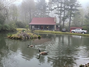 Exterior - Cozy Mountain Cabin with pond one mile from the Blue Ridge Parkway (Little Switzerland)