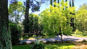 A garden with a stone pathway, a fountain, and a variety of trees and shrubs.