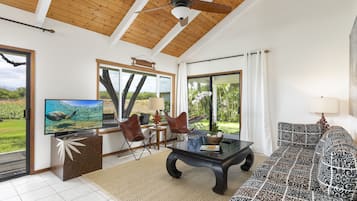 Älytelevisio, kirjoja