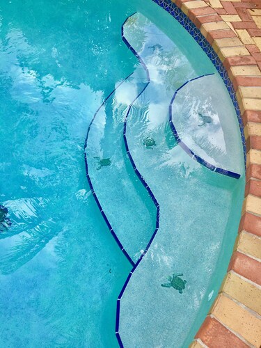 artistic/uplifting, pool/spa, large garden, walking distance to beach/ town  