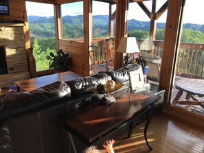 TV, fireplace, video games, DVD player