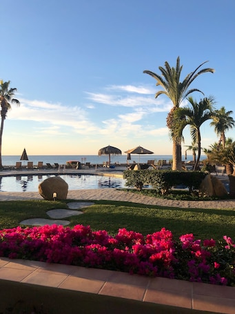 Property grounds. El Zalate: Ground floor, Beach Front condo, steps to the pool and beach