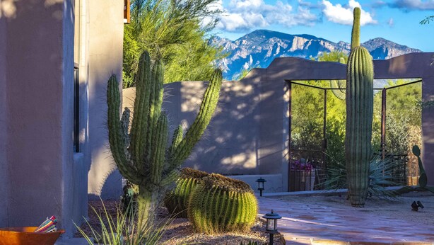 A cactus garden with a mountain view, a metal gate, and a stone wall. - Hacienda near Ritz Carlton 360 views on 5 ac, all bdrms ensuite bathrms (Marana)