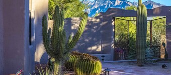 Privat Hacienda nær Ritz Carlton Dove Mountain - fantastisk utsikt på 5 dekar