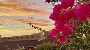 A garden with pink flowers and a view of a building with a flat roof and a wall with windows. - Hacienda near Ritz Carlton 360 views on 5 ac, all bdrms ensuite bathrms (Marana)