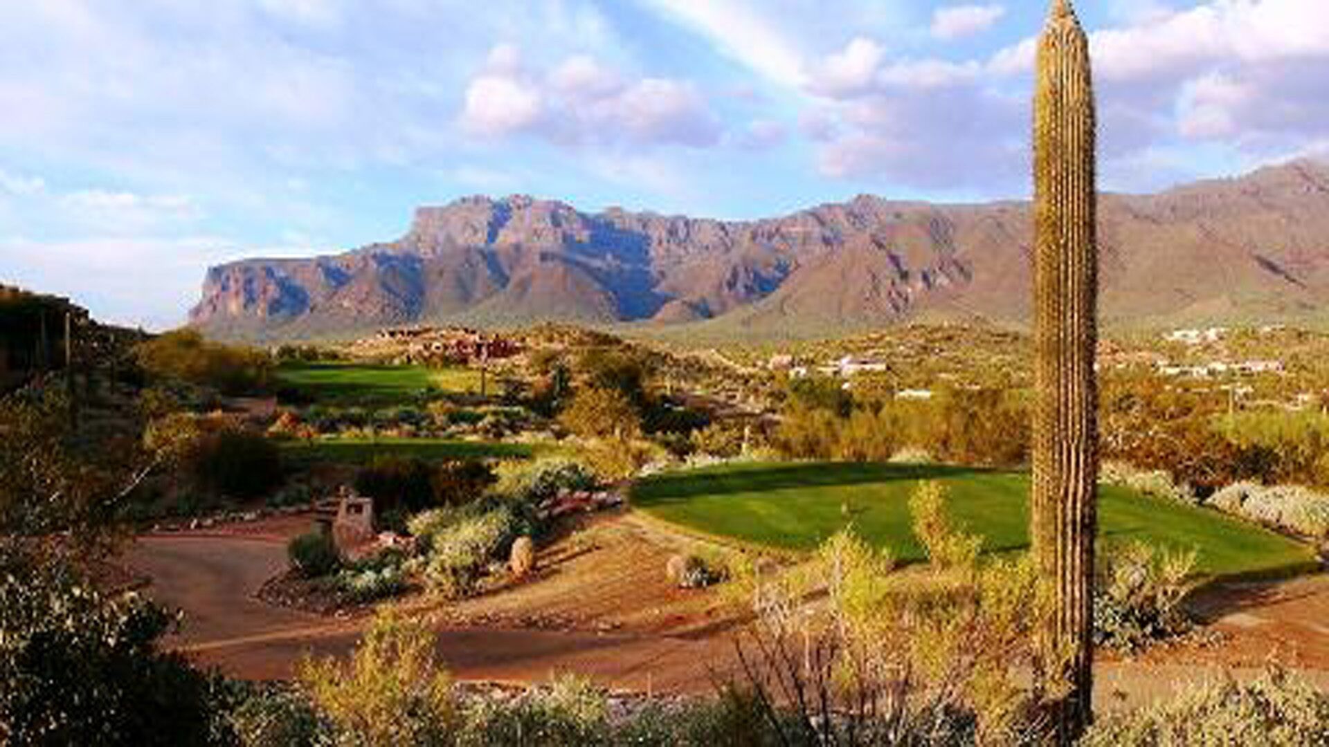 Woestijnlandschap met bergen op de achtergrond, een cactus en een golfbaan.