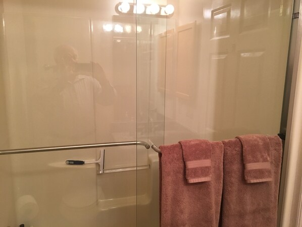 A glass-enclosed shower stall with a handrail and pink towels on a rack.