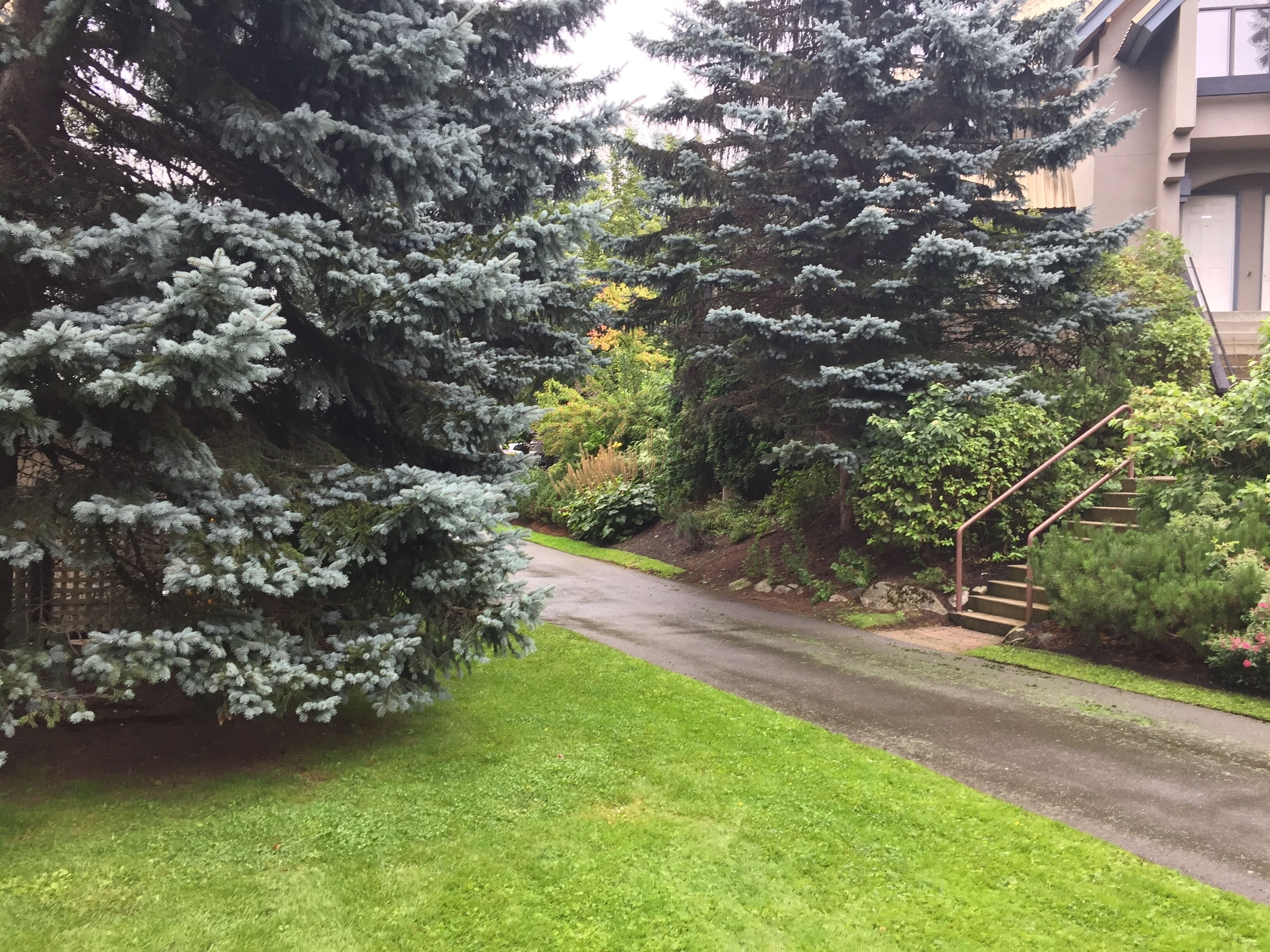 A residential area with a paved driveway leading to a house with a visible staircase.
