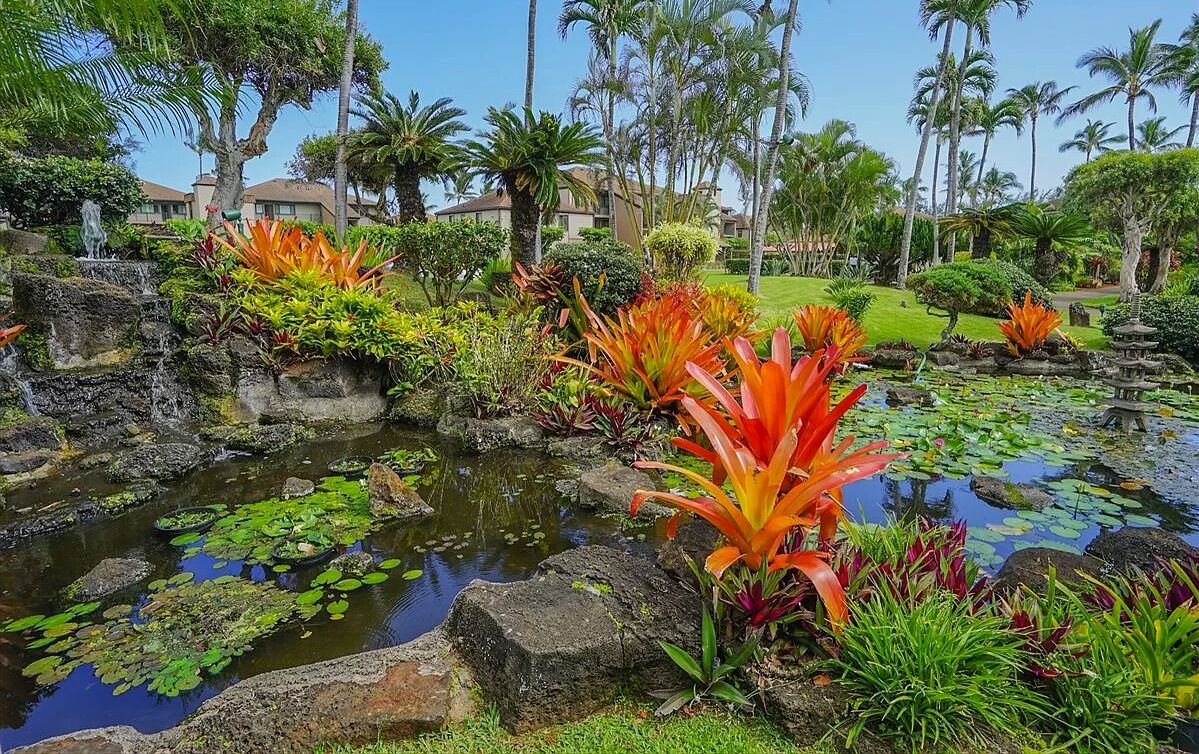 Jardines del alojamiento