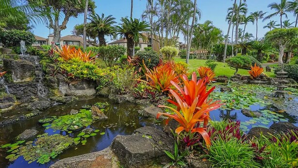 A tropical garden with a pond, palm trees, and a waterfall. - Kauai Pono Kai Resort BR/1BA Condominium -- Sleeps 4  (Kapaa)