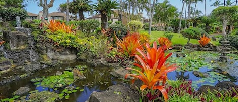 Jardines del alojamiento