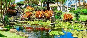 Kauai Pono Kai Resort BR/1BA Condominium -- Sleeps 4 