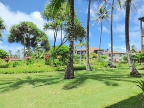 Property grounds - Kauai Pono Kai Resort BR/1BA Condominium -- Sleeps 4  (Kapaa)