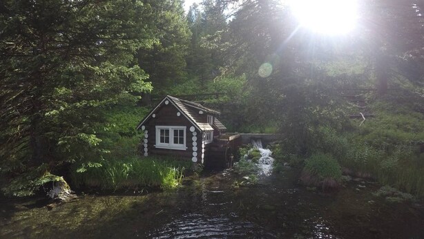 Una cabaña junto a un río rodeada de un bosque denso.