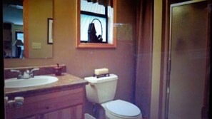 Combined shower/bathtub, hair dryer, towels, shampoo - Beautiful Mountain Views Amid Wine Country-Hot Tub (Hiawassee)