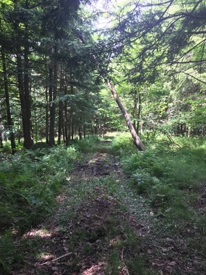 Property grounds - Private 150-Acre Farmhouse near Universities (Colton)