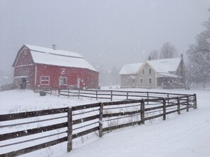 Exterior - Newly Renovated “Cedar Ridge Farm" - a 250 yr old farm on 150 acres (Colton)