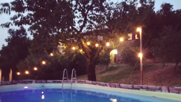 Une piscine avec un arbre en arrière-plan et des lumières disposées tout autour.