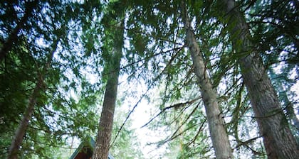 Wooded Cabin Near Sandy River, Hot Tub and 10 Miles from Ski Resorts