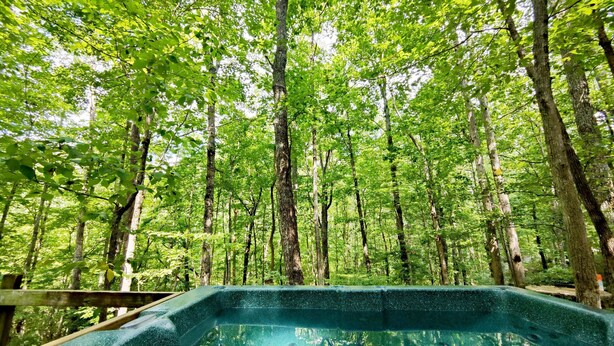 Un jacuzzi rodeado de un bosque.