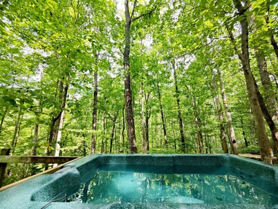 Hummingbird Treehouse Getaway w/ Hot Tub & Firepit