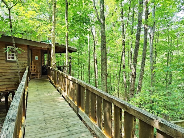 A wooden deck leading to a cabin surrounded by a forest. - The Hummingbird Treehouse (Monteagle)