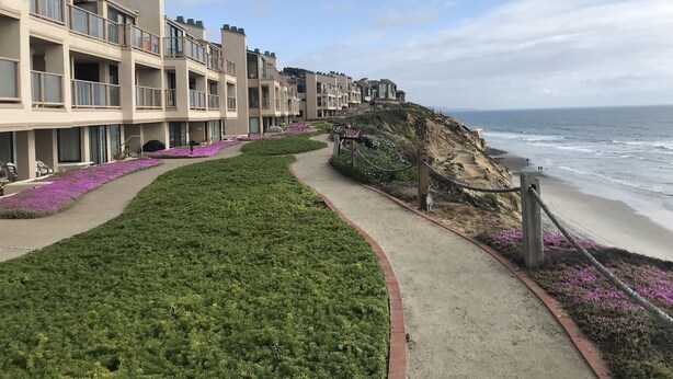 Ein Küstenhotel mit einem Weg zum Strand, mit einer grünen Rasenfläche und violetten Blumen.
