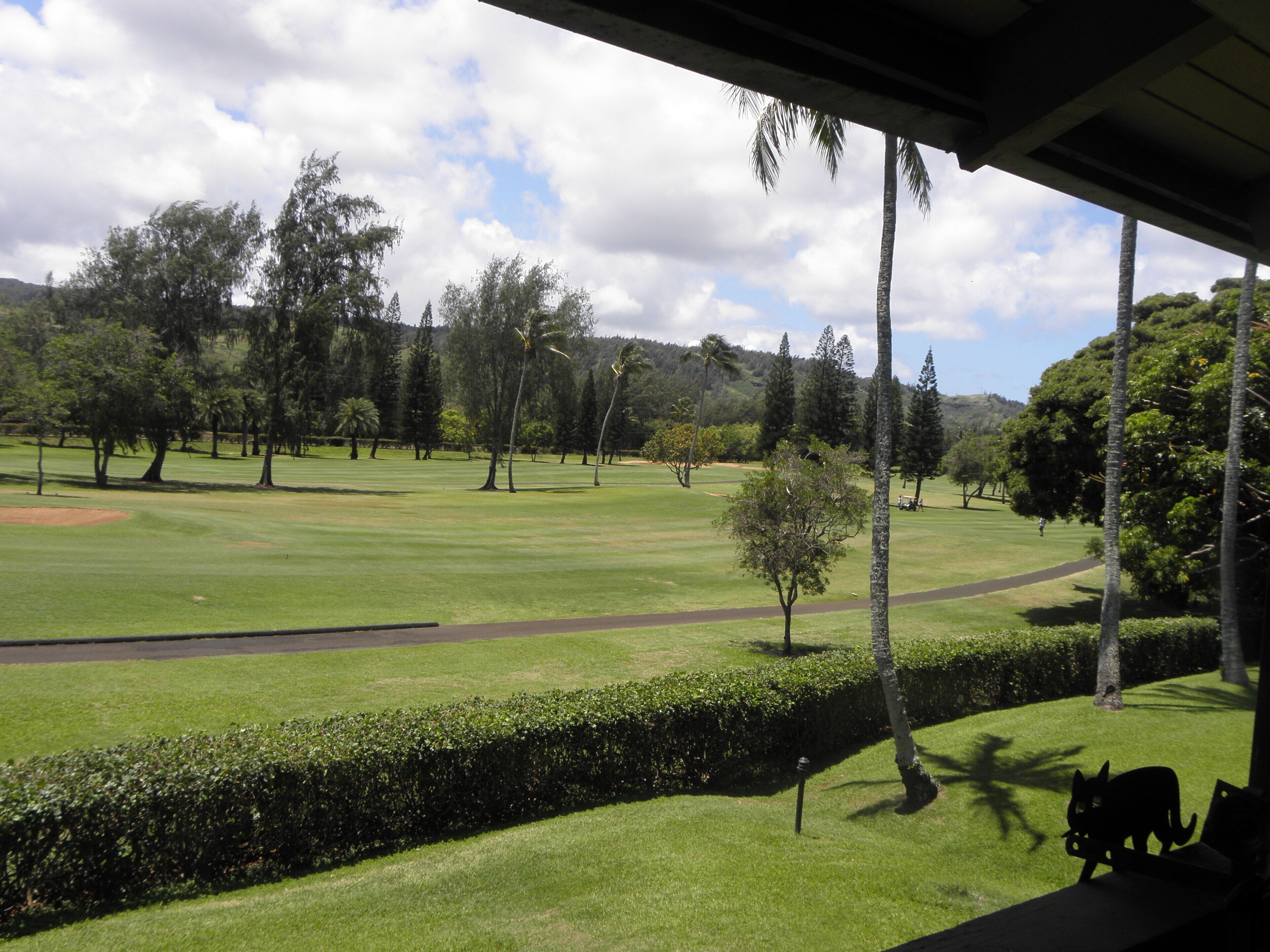 Blick auf einen Golfplatz mit blauem Himmel, Bäumen und einem gepflegten Rasen.
