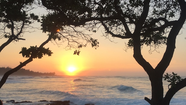 A sunset over the ocean with rocky shorelines and trees framing the view. - Comfortable Condo on Turtle Bay Golf Course Sleeps 5 (Kahuku)