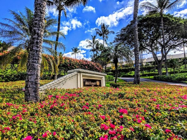 A landscaped area with a sign reading "Maria Kammerer," surrounded by vibrant flowers and palm trees under a clear sky.
