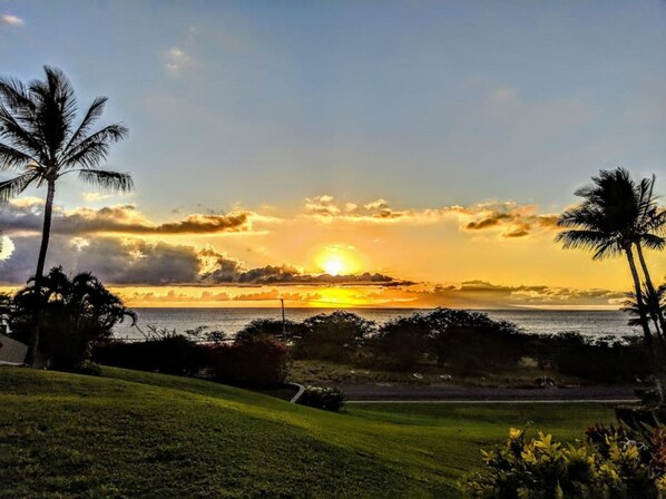 A sunset view over a beach with palm trees and a grassy area.