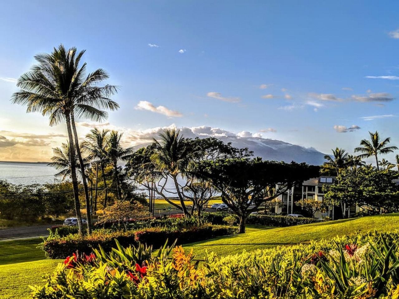 A landscaped garden with palm trees, a building with a covered patio, and a view of the ocean and mountains in the background.